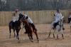 Oxford Polo 2022_12_11 0011